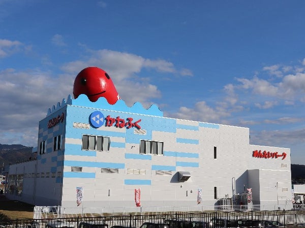 ■【静岡】伊豆で爽快ドライブ!浜焼食べ放題&海風に吹かれて♪爽快クルーズ!食のテーマパーク伊豆村の駅で野菜詰め放題♪3